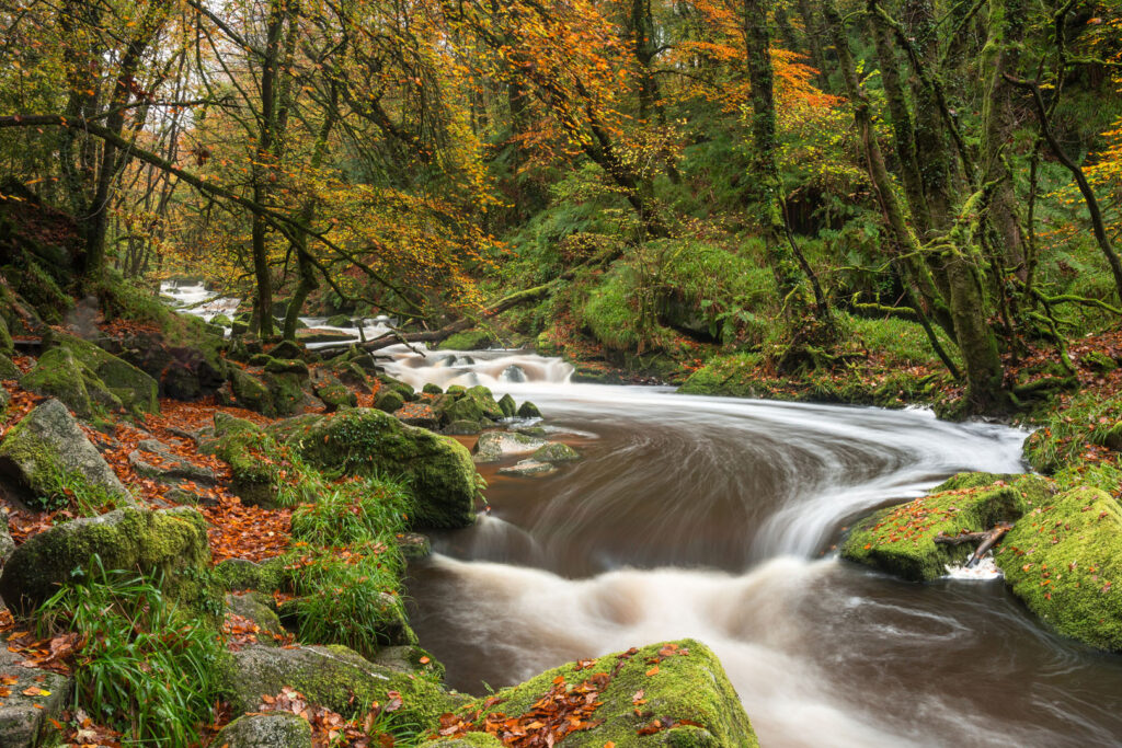 Cascading Water , Golitha Falls, Cornwall
