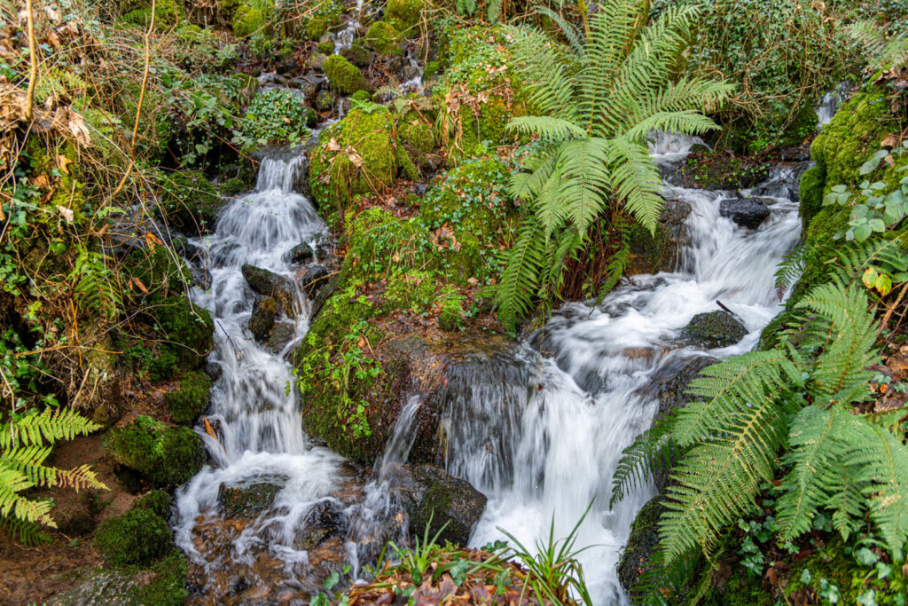 The Luxulyan Valley is home to this waterfall walk in Cornwall on the river Par.