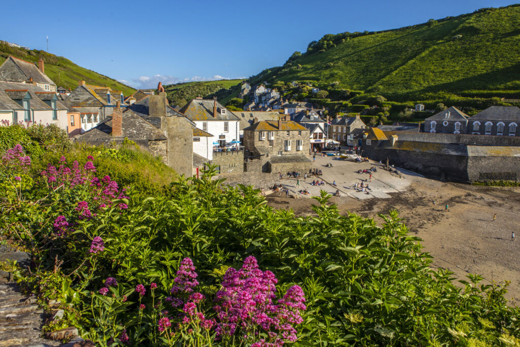 Charming hillside in Port Isaac, dotted with houses, recognized as a filming location for the Doc Martin series, a famous film and television location in Cornwall.