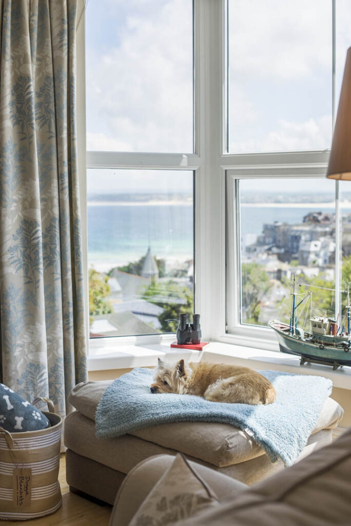 A dog rests overlooking the view across St Ives from Captain's Rest, a new Cornish Escapes Holiday Cottage.