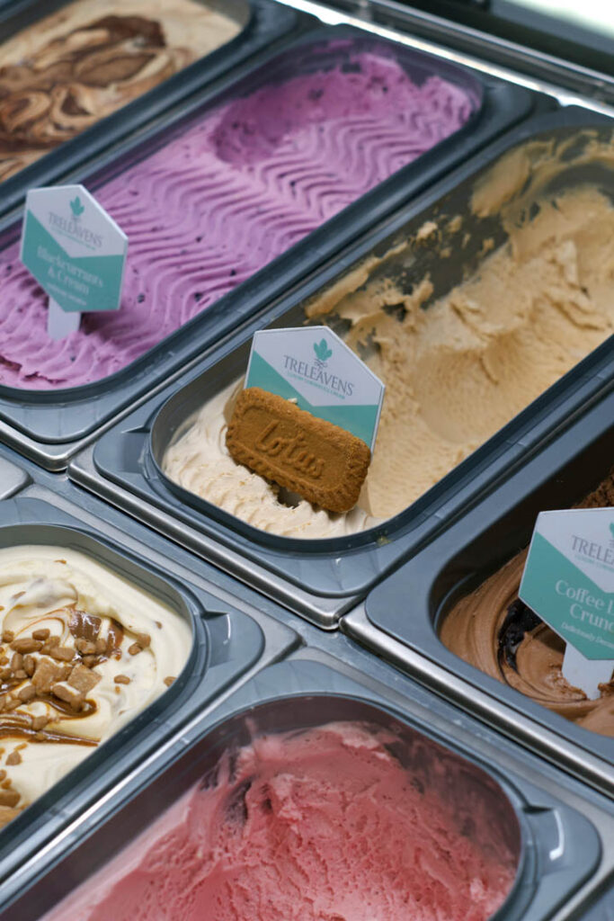 A colourful display of Treleaven Ice Cream in a freezer, showcasing various flavours in a local Cornwall shop.
