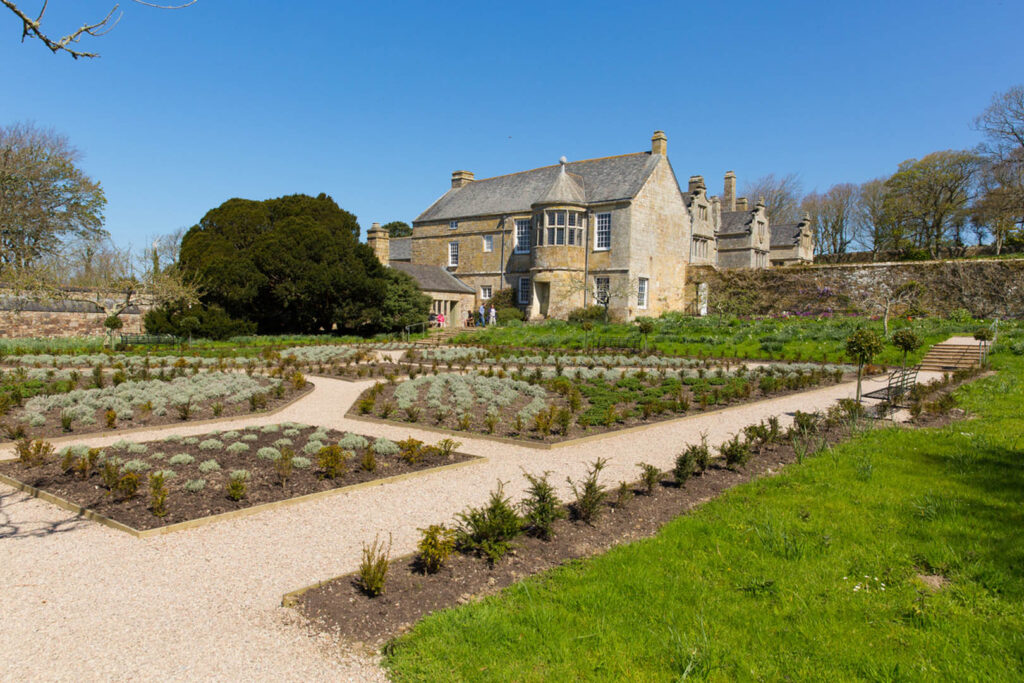 A lush garden filled with various plants and trees, showcasing the natural beauty of Trerice House in Newquay, a great thing to do off the beaten track in Newquay.