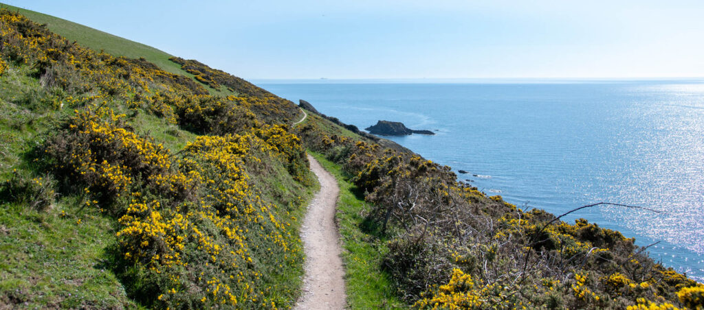 A scenic coastal path winding along a hillside near Newquay, surrounded by lush greenery and ocean views. a thing to do in Newquay off the beaten track.