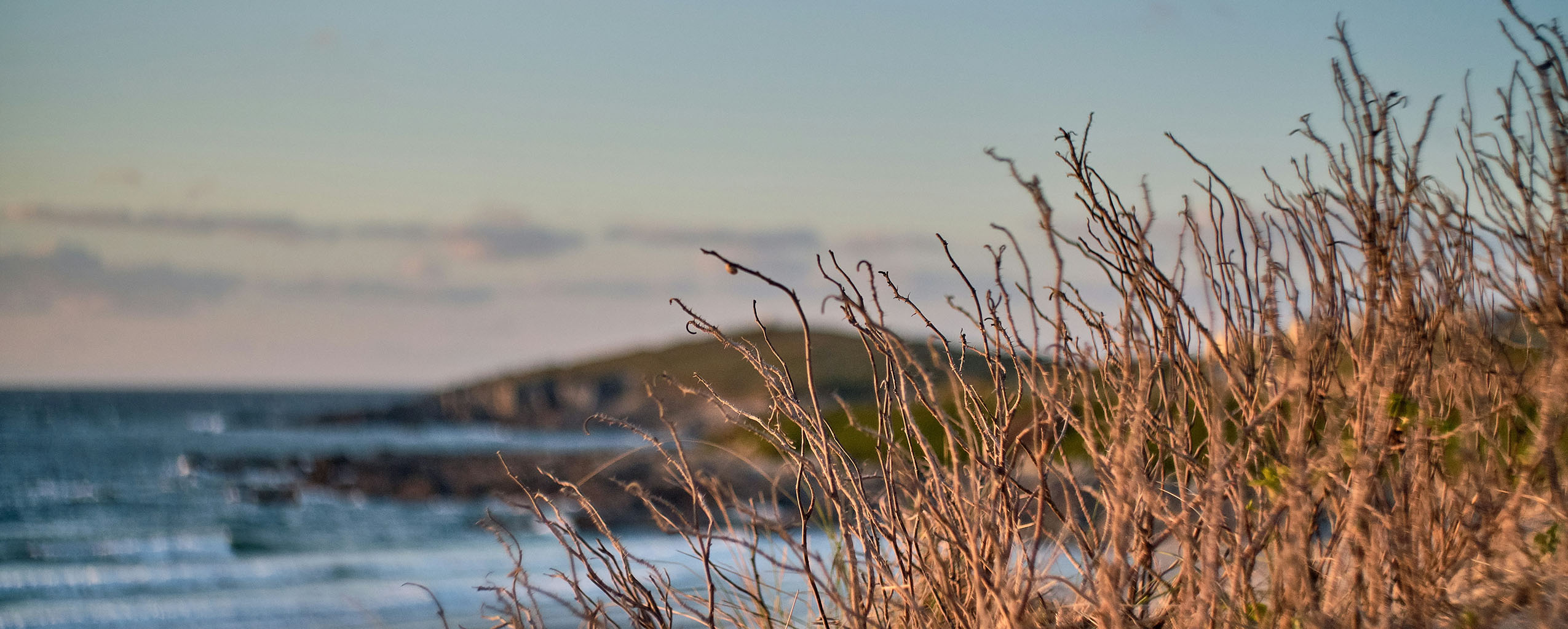 A scenic view of Fistral Beach in Newquay, Cornwall, featuring the ocean and grassy areas along the shore, a must visit beach from a Newquay Holiday Cottage.
