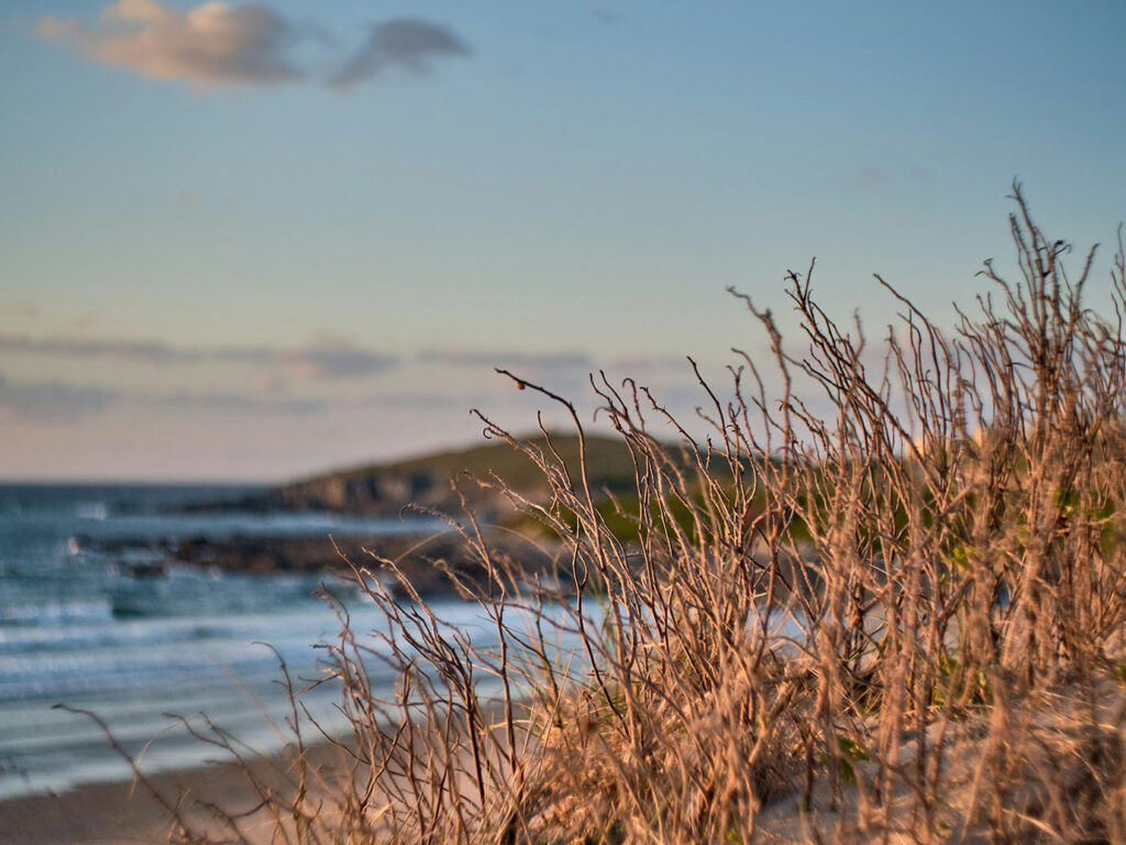 A scenic view of Fistral Beach in Newquay, Cornwall, featuring the ocean and grassy areas along the shore, a key piece to the arts and heritage of Newquay.