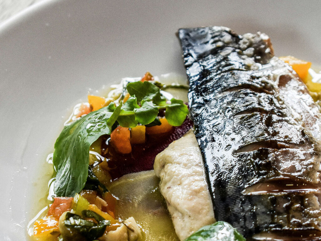 A plate of seafood featuring fish, colorful vegetables, and sauce, served at Mawgan Porth Restaurant near Newquay, a great place for food and drink.